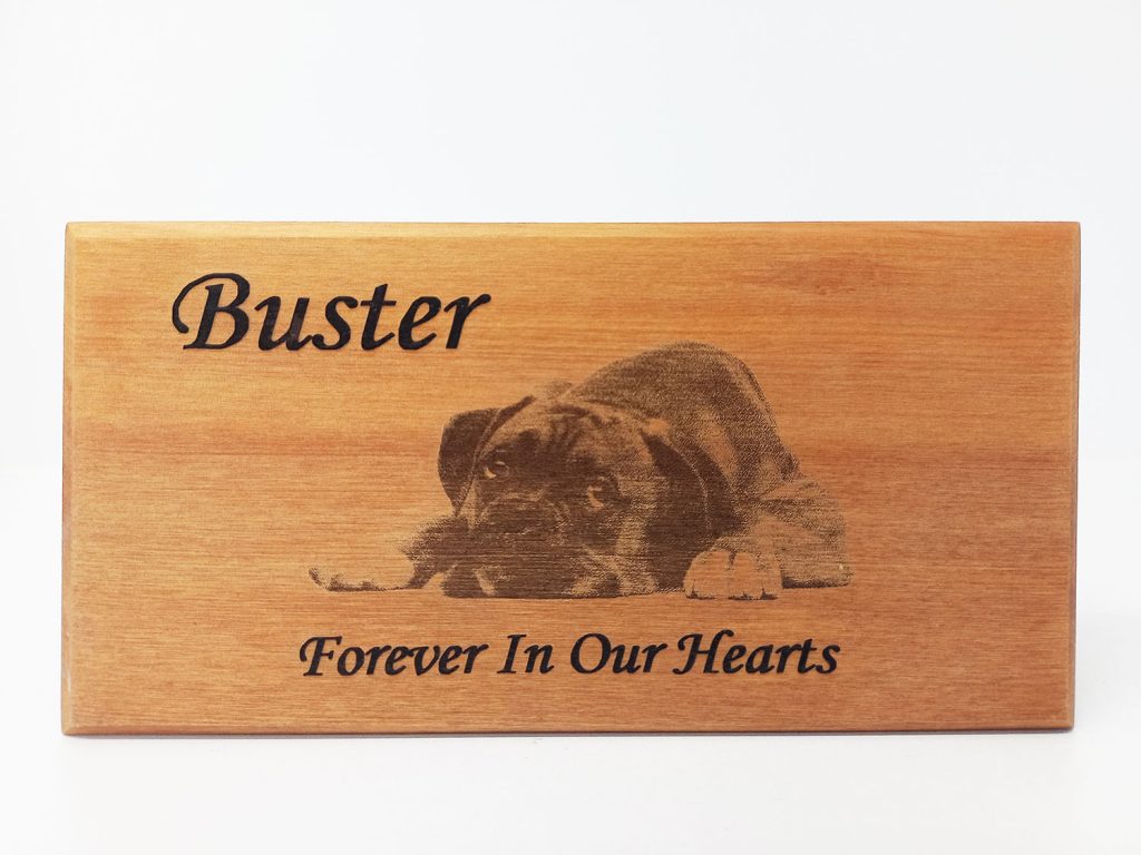 buster01