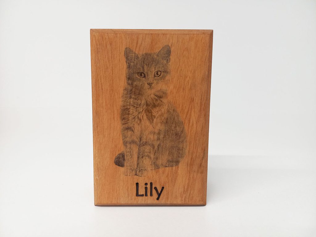 lily02
