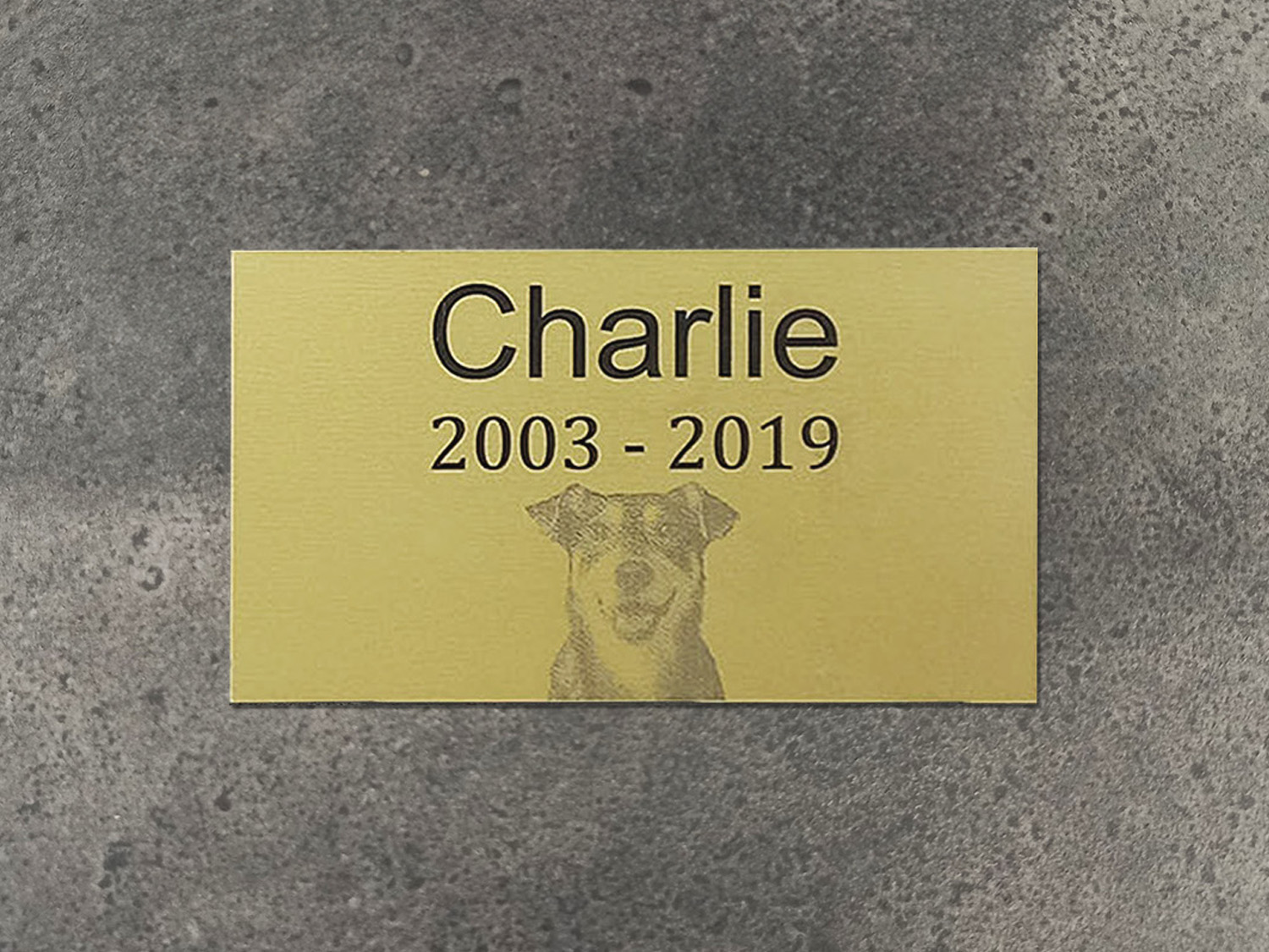 charlie02