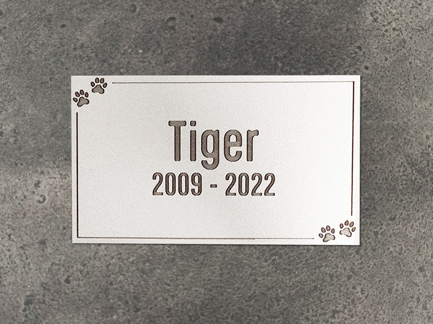tiger
